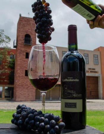 Vineyards La Redonda