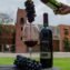 Viñedos La Redonda: Guía de Visita en la Ruta del Vino