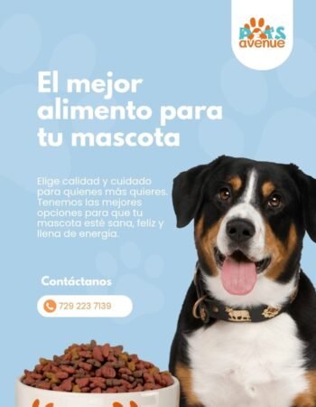 Pets Avenue