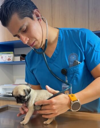 Vet Kaan