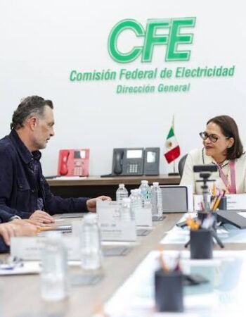Comisión Federal de Electricidad (CFE)