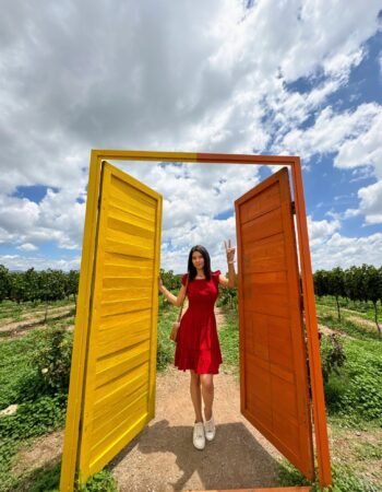 Vineyards La Redonda