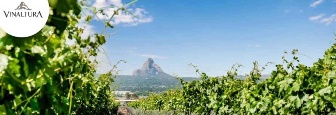 VINALTURA