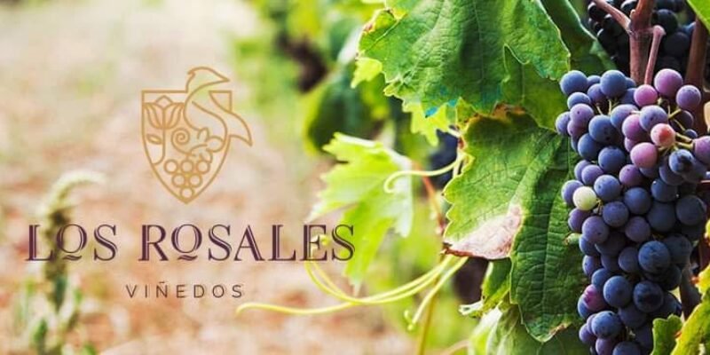 Viñedo Los Rosales