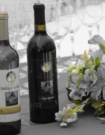 Vinos Santiago Apóstol