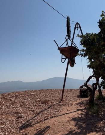 Minas de Ópalo La Trinidad
