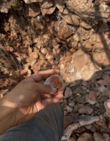 Minas de Ópalo La Trinidad