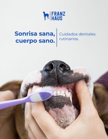 Franz Haus | Zibatá