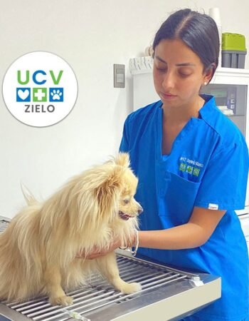 UCV Zibatá