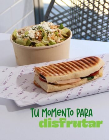 Escarola Food and Health