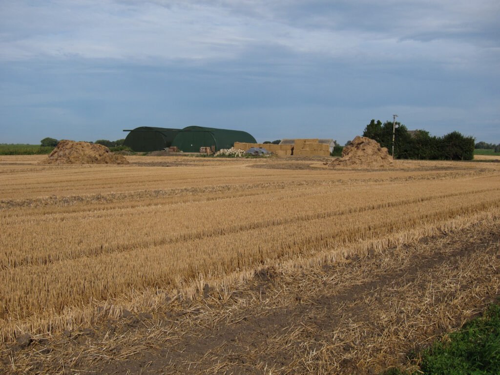 Vineyard farm