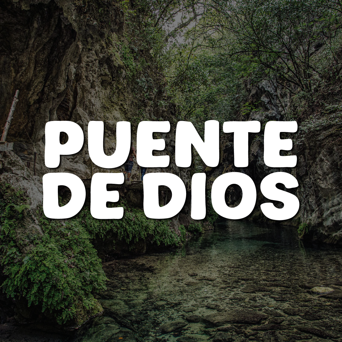 Listing Logo