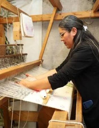 Audeco (Taller de Lana José Vega Ibarra)