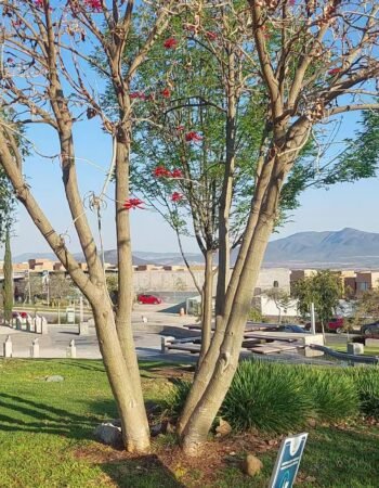 Parque Jamadi