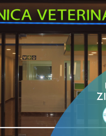 UCV Zibatá